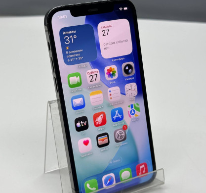 iPhone 12 Pro 256GB Graphite 100%